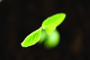 标签体系